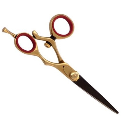 Titanium Coated Scissors