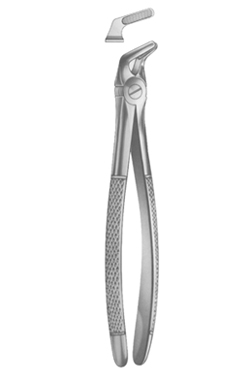 Extracting Forceps English pattern