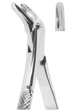 Extracting Forceps American pattern