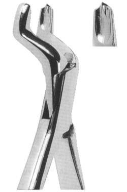 Extracting Forceps American pattern