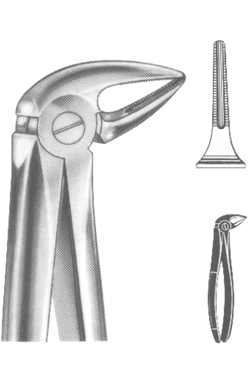 Extracting Forceps English pattern