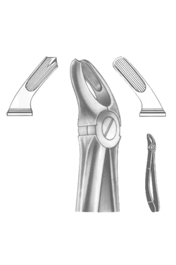 Extracting Forceps English pattern